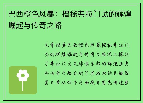 巴西橙色风暴：揭秘弗拉门戈的辉煌崛起与传奇之路